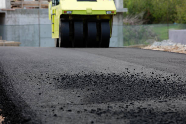 Best Driveway Repair Near Me  in Lathrop, MO
